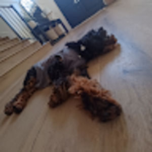 Meet your Posher, Ava